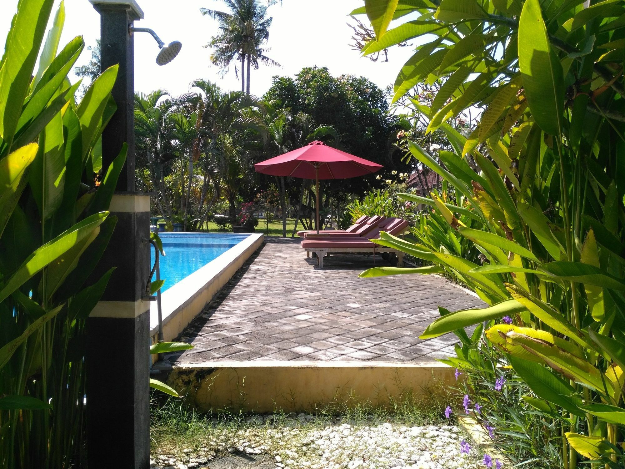 Mekar Jaya Bungalows كوتا المظهر الخارجي الصورة